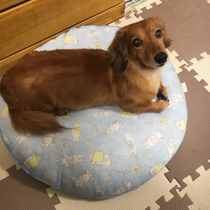 85a0db08 34fb 4820 a203 71c3ac1966ad 1531832665584