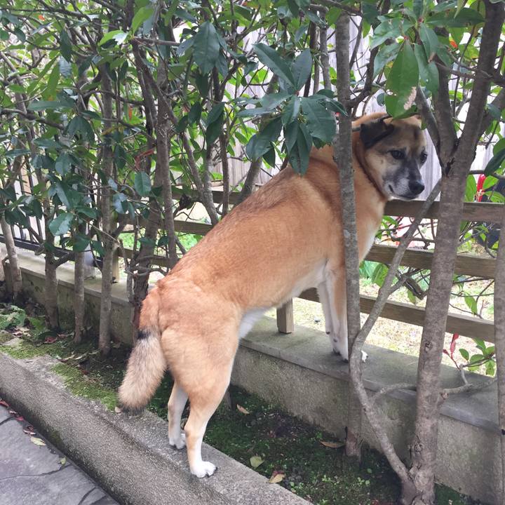 85a0e72d bbe9 4198 9b56 3ca9c0abbd1c 1511139368164