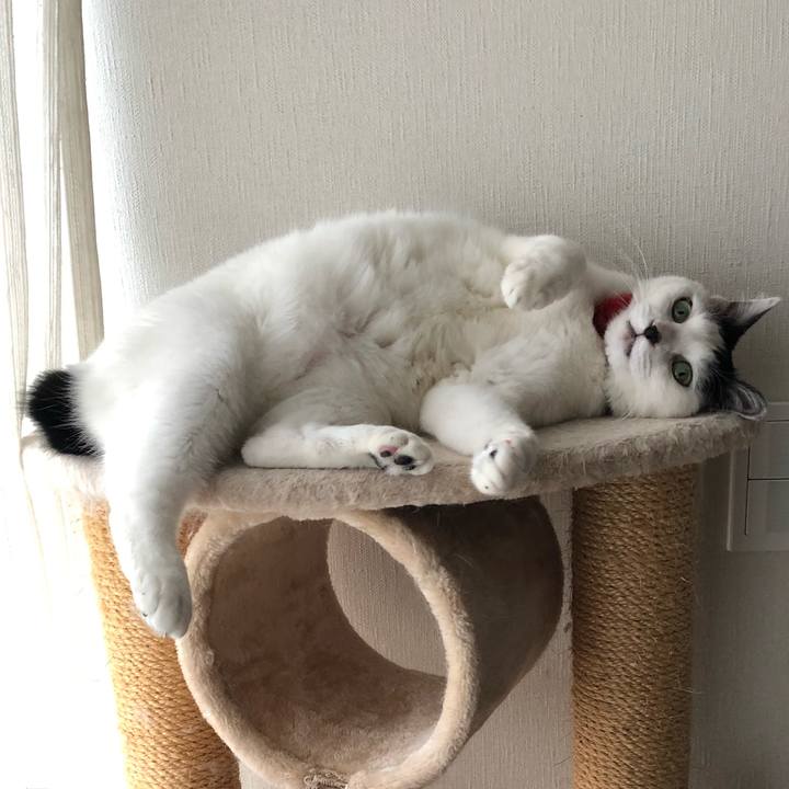 85a12dae 21b5 4c78 971c e67e02f654bf 1551589502862