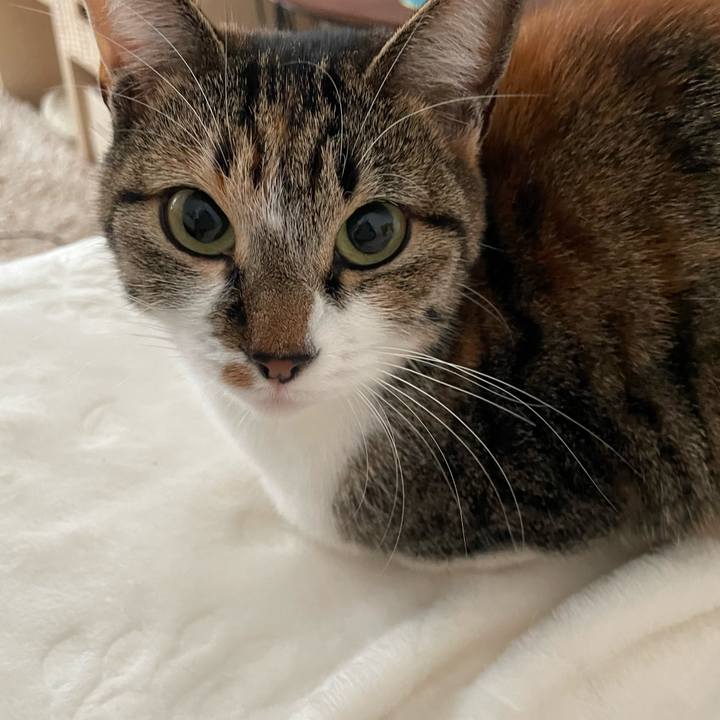 85a13b77 5b38 4716 b062 bc22dbe9dbd1 1669690743799