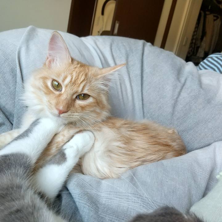 85a18d64 9b94 47f6 af21 fa47de2ad4db 1618707808763