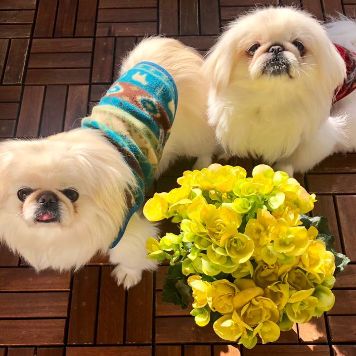 85a1b7b6 12aa 487d 8183 60872bc78943 1612261348841