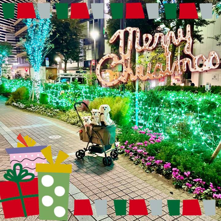 85a1d2bb add3 4038 9c9b b21b81c60cff 1640230899459