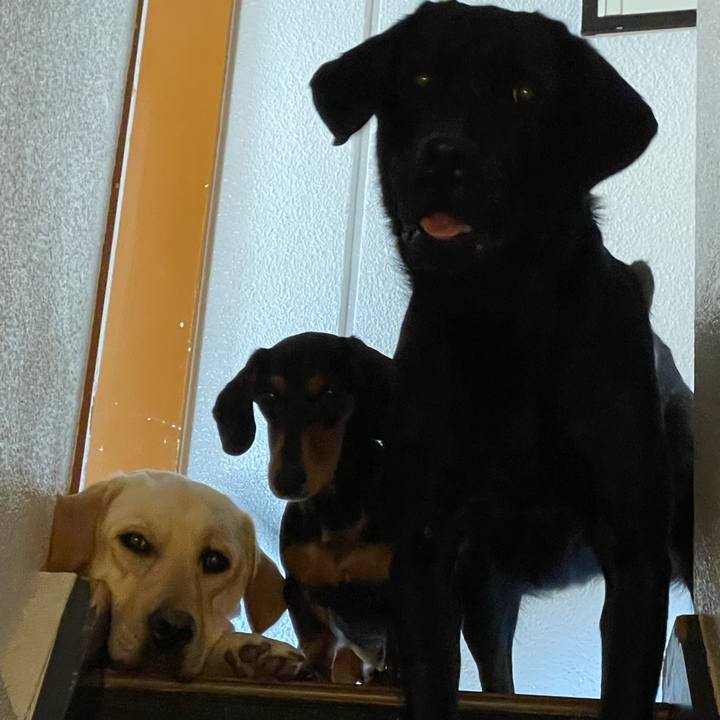 85a20097 1229 4aff a1c3 4d02cdf978a8 1652932015806