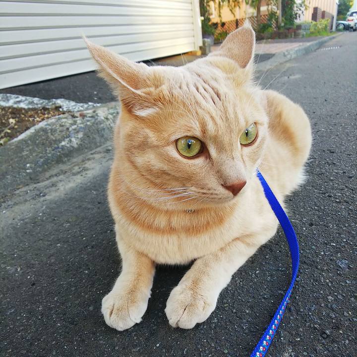 85a20785 c1e6 44f4 9576 eb679eab8466 1599384245983