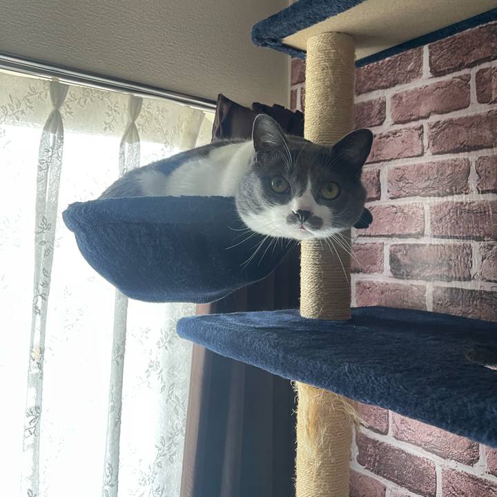 85a21edf 9fba 439a 953c ab94259d5fbe 1685170084482