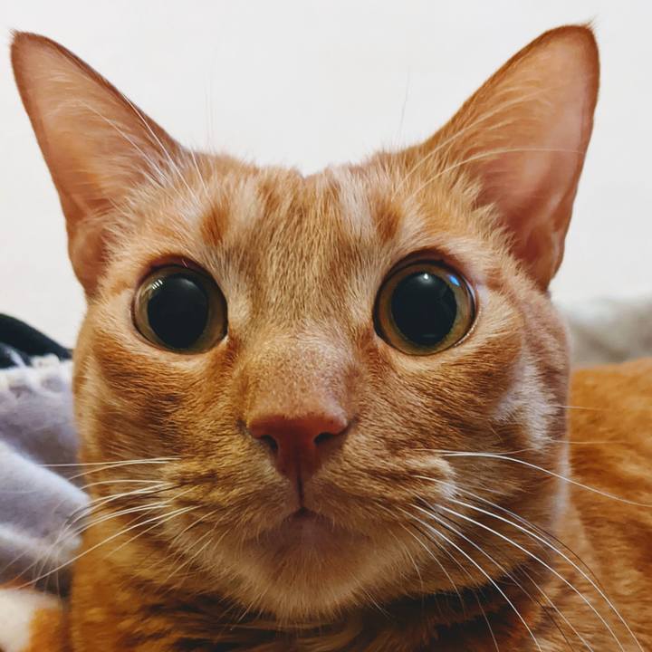 85a26102 6665 445c 8a1f c6aa0481ac25 1640176928536