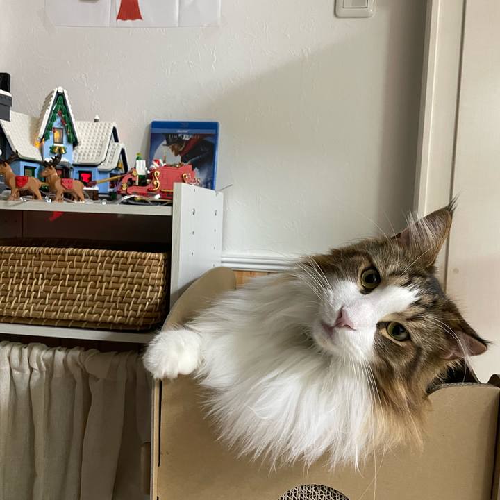 85a26ec1 681b 4a00 bdbb 302a0c4b33bc 1672090927869