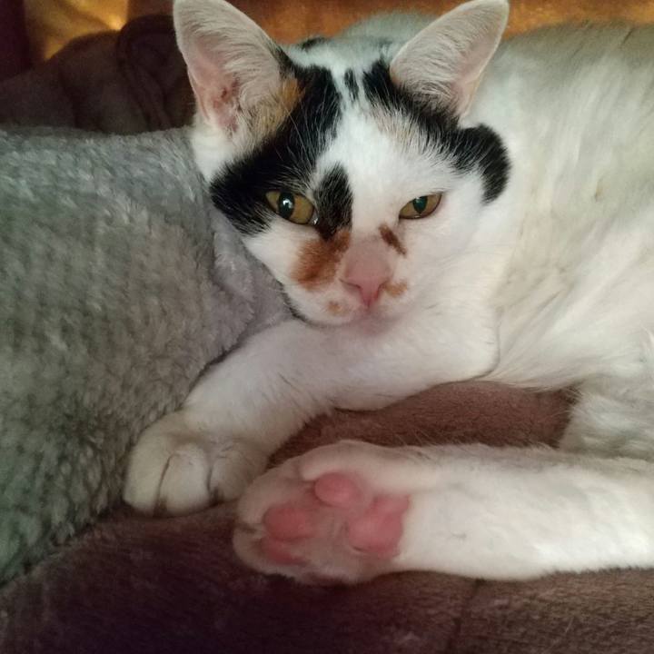 85a2a2f2 2a6b 4c38 9eef e67cc886a07e 1675002133221