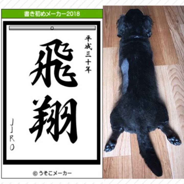 85a30734 7059 4007 8d51 e1844d103000 1514982197852