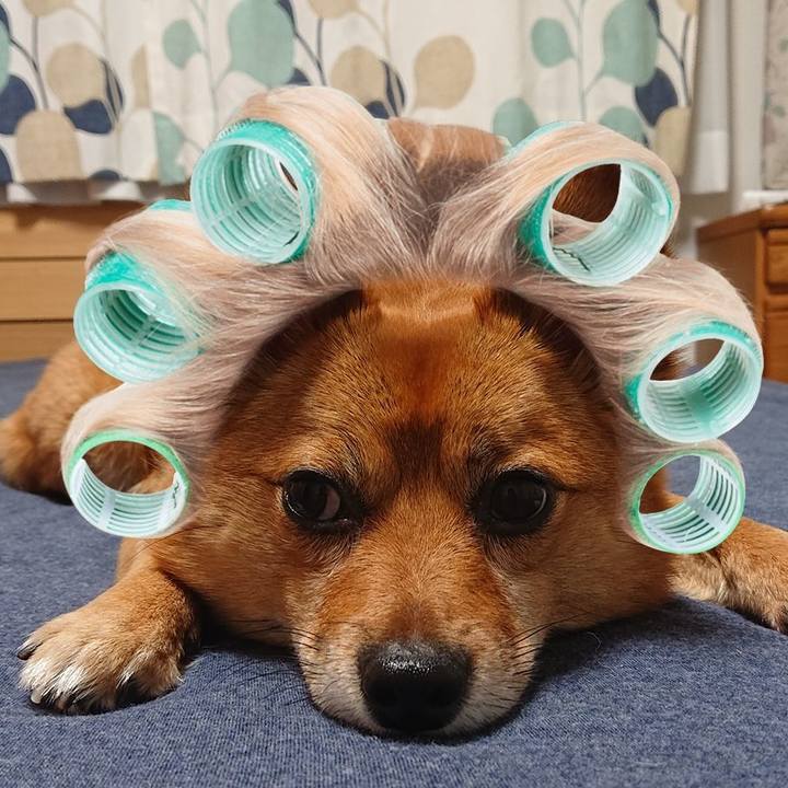 85a31935 b4ad 498a a45a bfe6fdee22ef 1559703608982