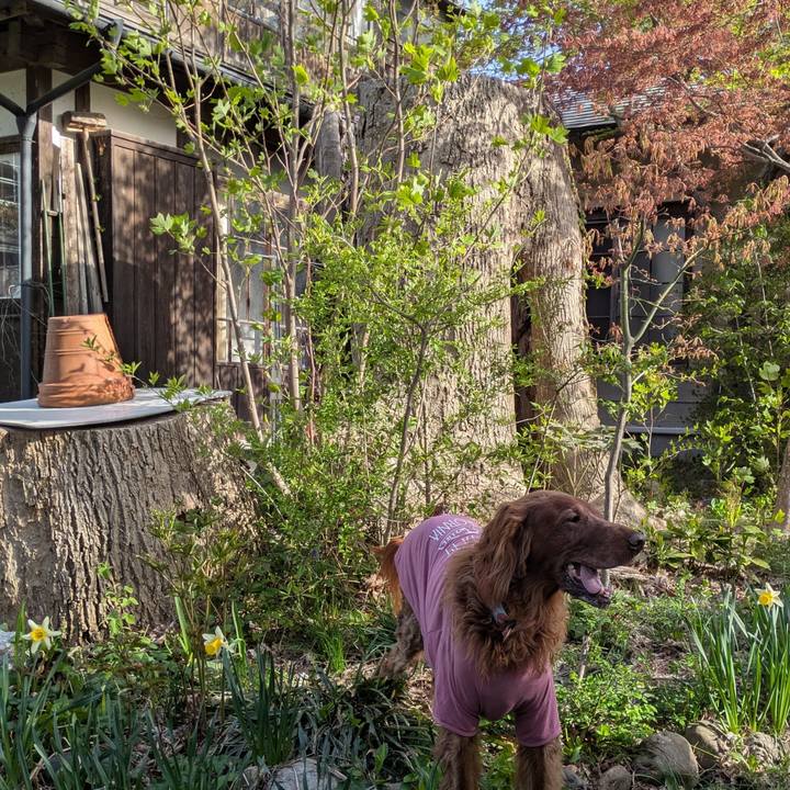 85a319ad 99eb 4c0a 8506 42c1b063f4f5 1776896838897