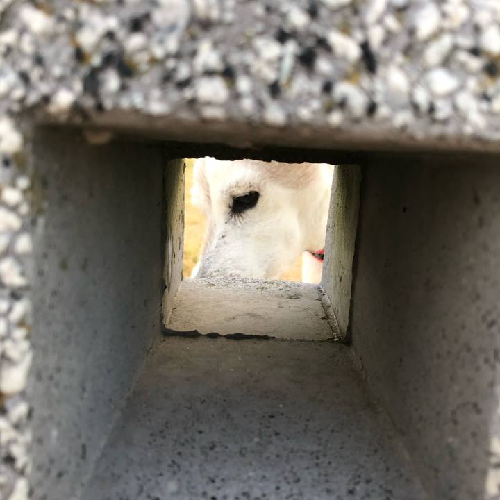 85a34d8c 567a 4394 ba96 bd30d3f04814 1598617658646