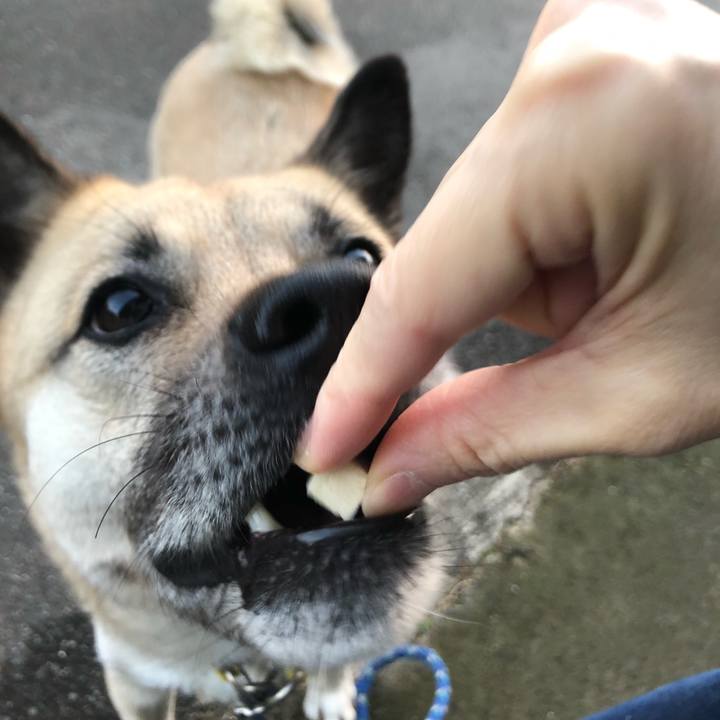 85a379e5 6f63 430a 89dc fd4b6da33ef1 1611835111312