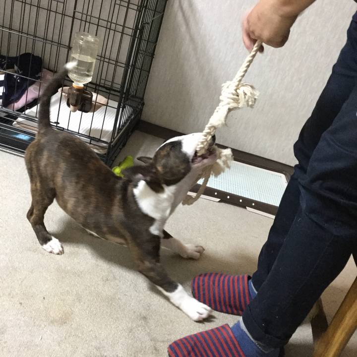 85a3cf9f 309a 404b 9100 4657dd45cfb7 1551742833407