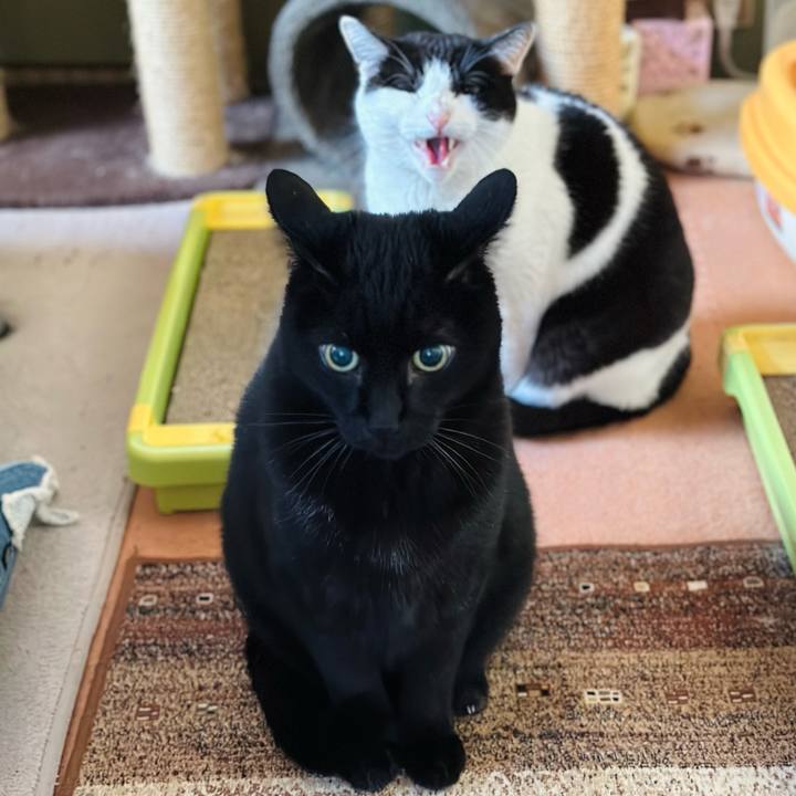 85a403fb b788 40c9 9ec1 214b262e7364 1674007097269