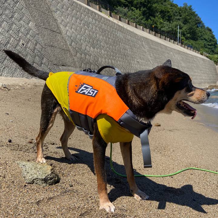 85a40423 b884 4e02 a0b6 177c34f766d3 1692584986039