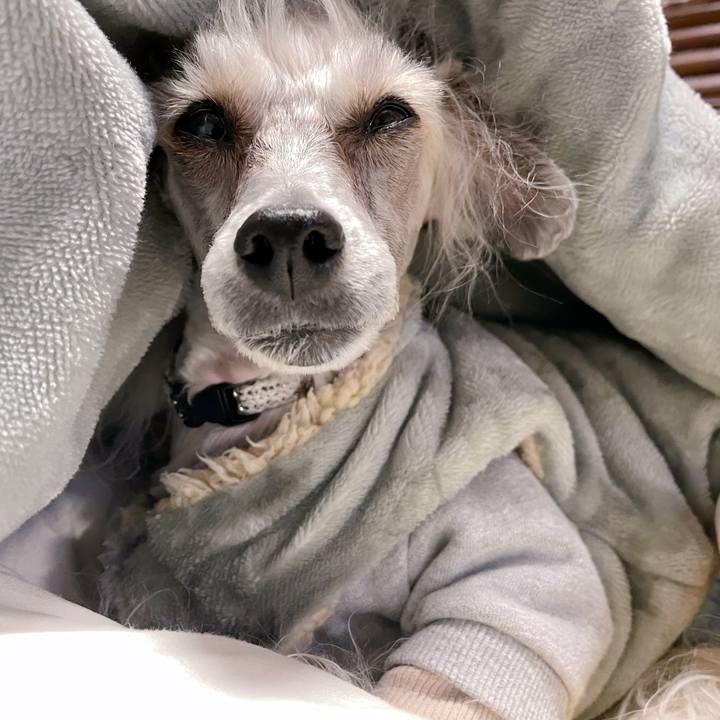 85a44ccf a0fe 472d b7ad 3d9eb96c95cf 1768269827577