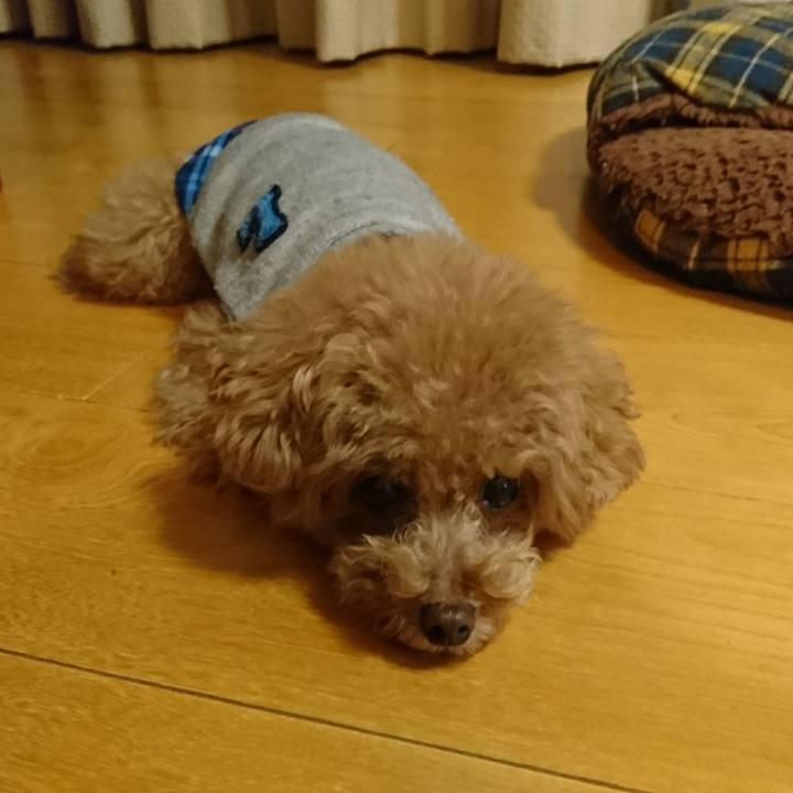 85a460f1 af28 4f17 b5bd a12d39efedfa 1516622101022