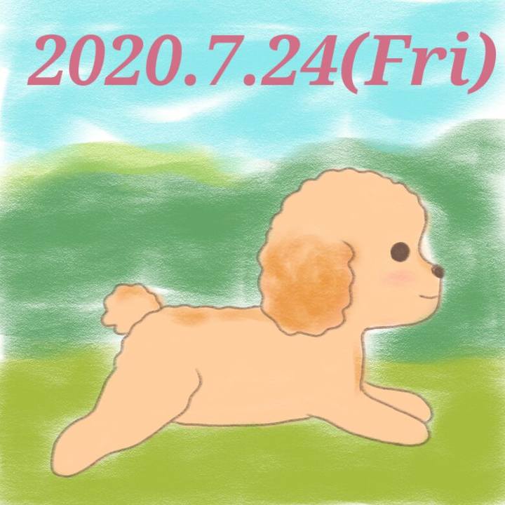 85a47df0 3f00 4412 a2d2 234e58b3647a 1595594122605