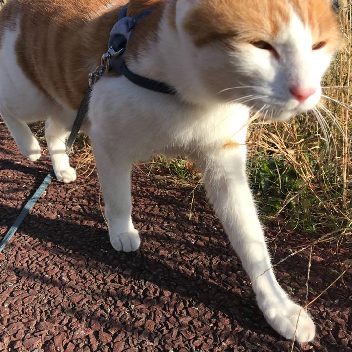 85a4cb56 0ef9 4fc7 819e 26e71e827702 1510811718228