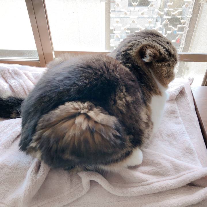 85a4f7e8 21c9 4cc3 8320 e4c5803b3c59 1556668683553