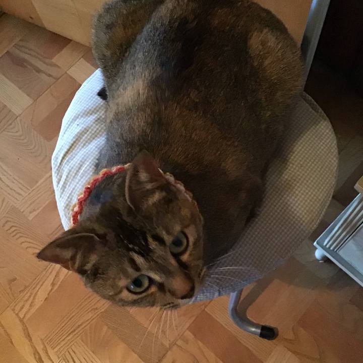 85a53890 ae39 4445 a16f f601c9f24893 1622453343911