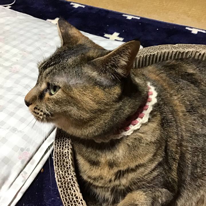 85a54326 23f0 4b32 b805 6096940a788c 1710675808277