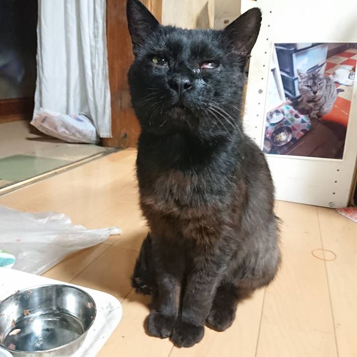 85a56199 55db 4389 a1bf 4995a3230e36 1624879768111