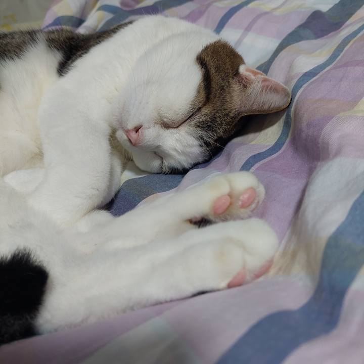 85a5653a d46e 4aa4 9403 0df36cfd1fc4 1633092881523