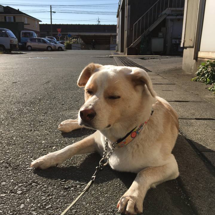 85a57ee0 f5de 4acd aefb 682db79a42f6 1508987845080