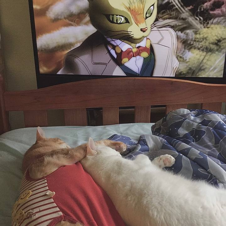 85a58db2 8141 497e 9db9 f85567512c84 1592192678390