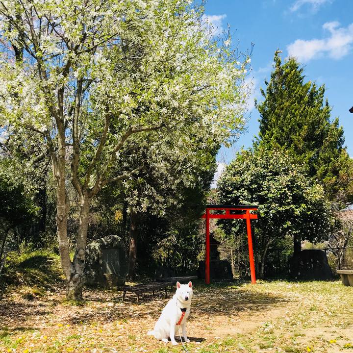 85a5a14d 4776 4cf3 894d eaaceb90e761 1523179132796