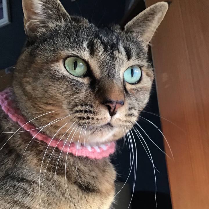 85a5a53b 6efd 4172 abbf dfe97ef6114b 1742900281557