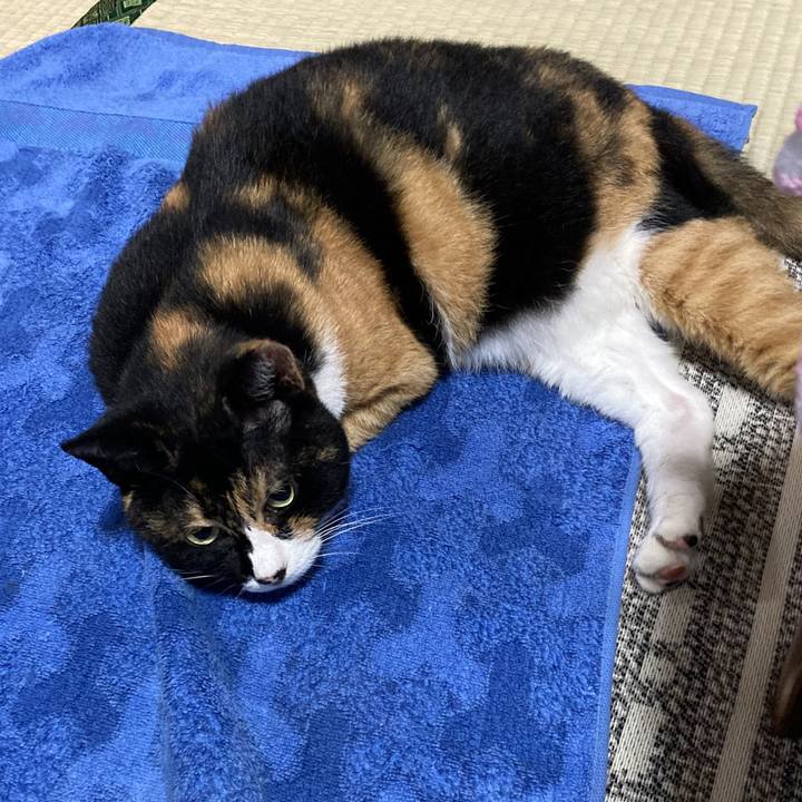 85a5cd02 ce1d 484b ac0e a52a1791d43c 1660396907258