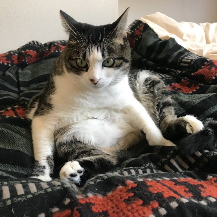 85a5d8c0 24cb 41d7 8b21 ffb0a30af847 1542441086915