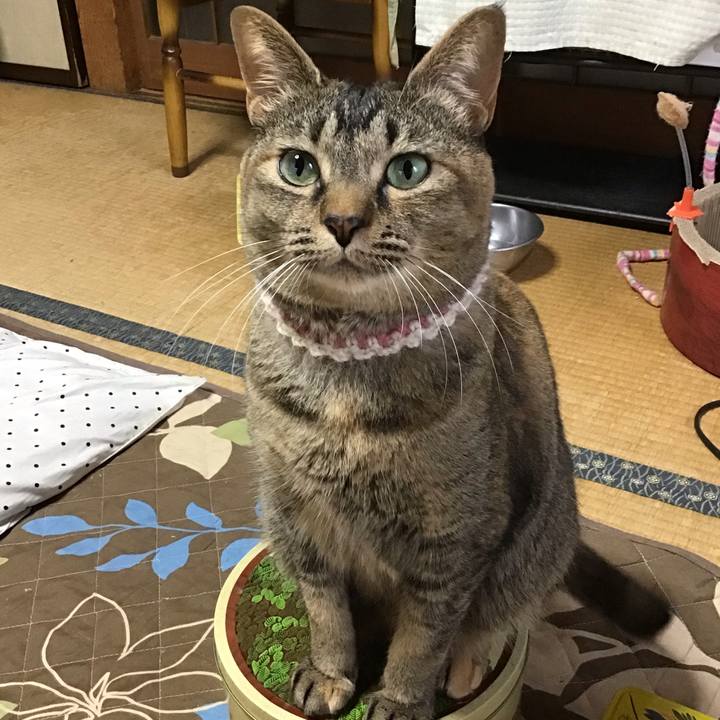 85a60b5e 8b98 465c 8c23 4a6f587b3734 1652481465218