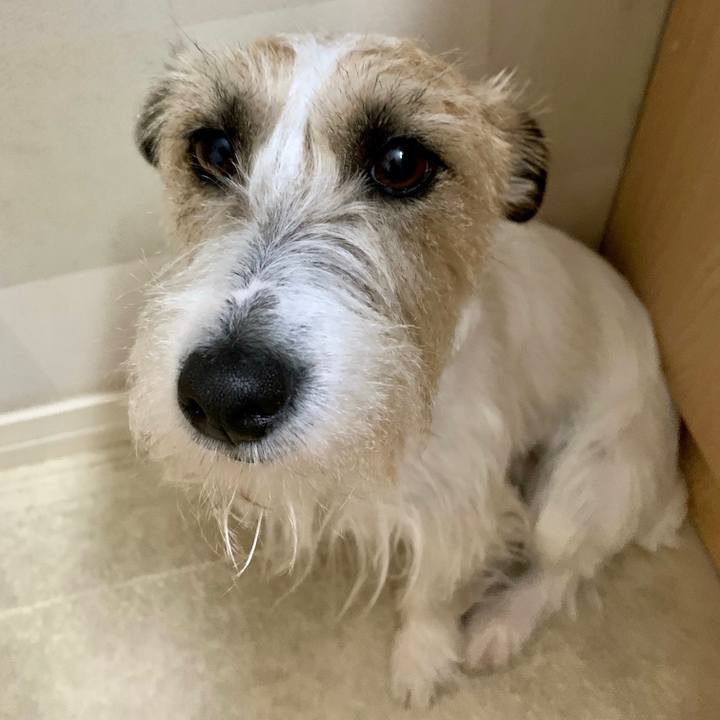 85a62ccc b533 4fb9 aef6 6987a54ad172 1648712937635