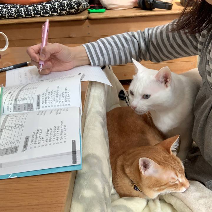 85a63207 50df 47ac 81ab 74eca082b116 1586584288806