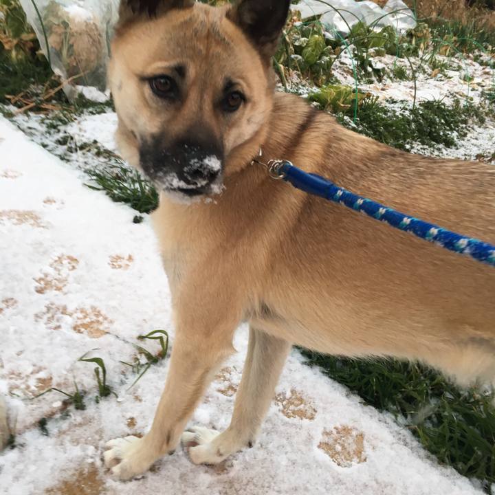 85a64eb3 3fb8 4ed7 a552 7dcab43a7fbd 1516876294062