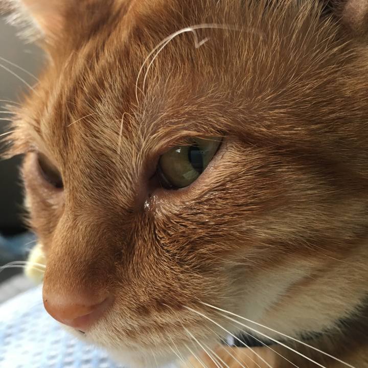 85a66c48 4f99 4974 8500 3832bd629743 1538806514551