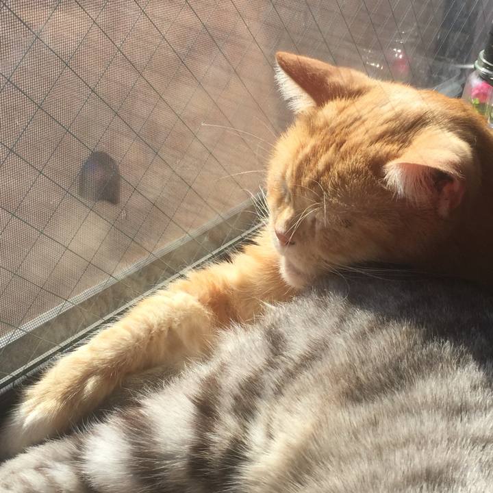 85a69305 4e39 454a 9b09 8ab72e996e2a 1573790681533