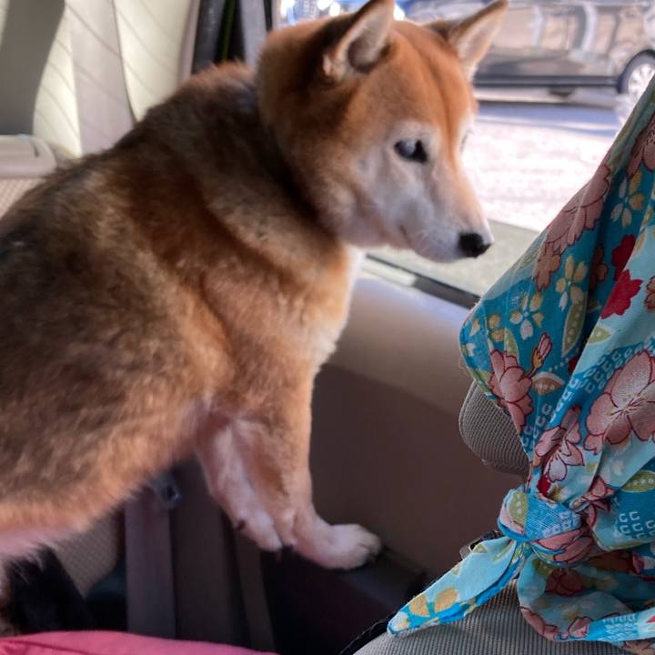 85a6c6c4 7c59 4389 8724 a88e4742906b 1672621550945