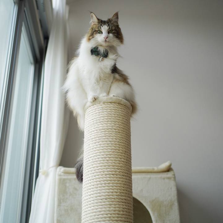 85a6d42f dc40 41ea 951f d862c935e3dd 1623901142033