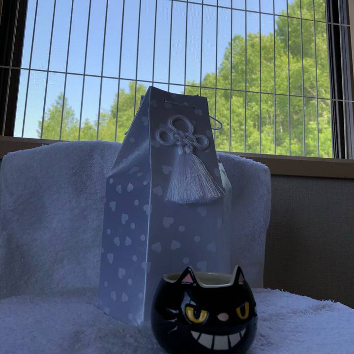 85a741f9 e2cc 4d9b 8895 e2af1ad147e4 1558759622468