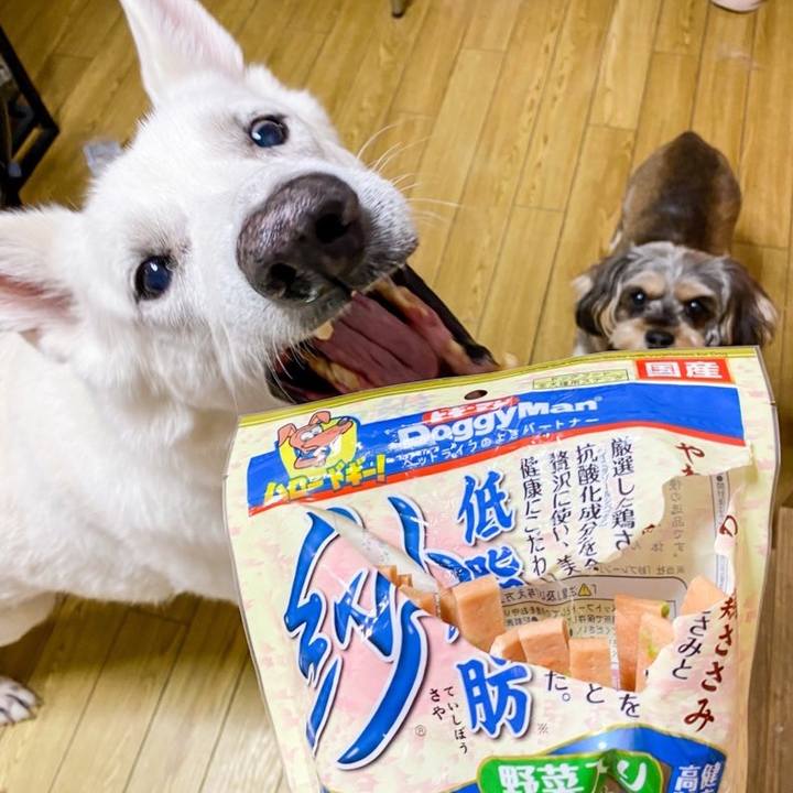 85a7566c d572 4c8b 8222 cb2e64a2c347 1645452356979