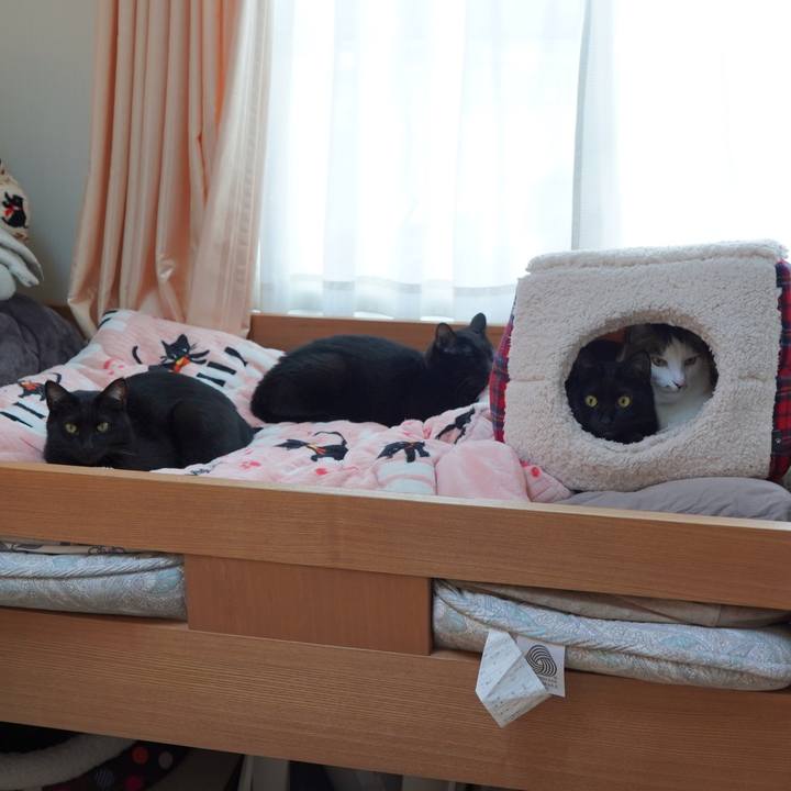 85a77ce6 61de 40b8 80da e3be36bee83b 1583052781951