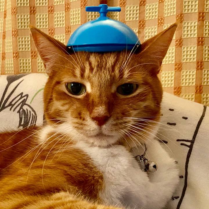 85a7d032 8b76 455a 92ae 3ee7982af42b 1750474130412