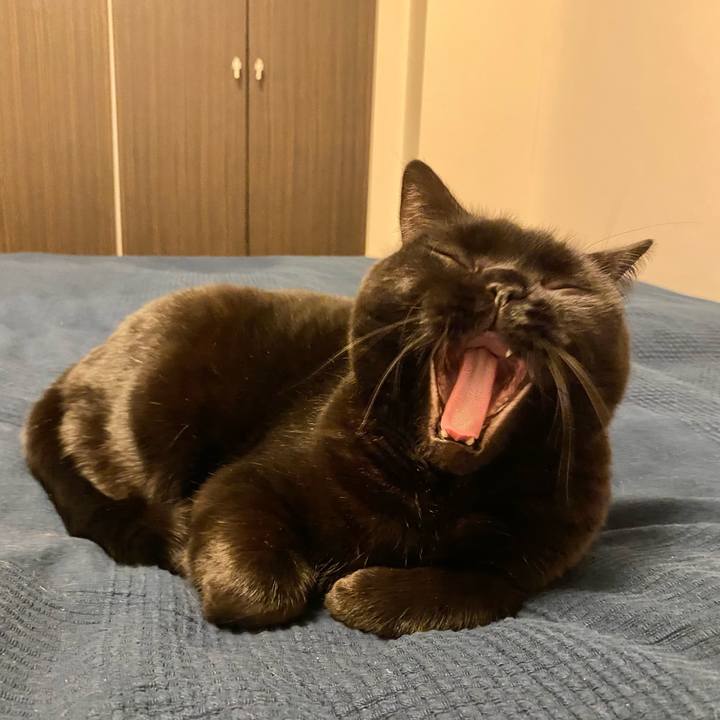 85a82ab1 2f95 42f8 a134 468da42b07ff 1643115847561