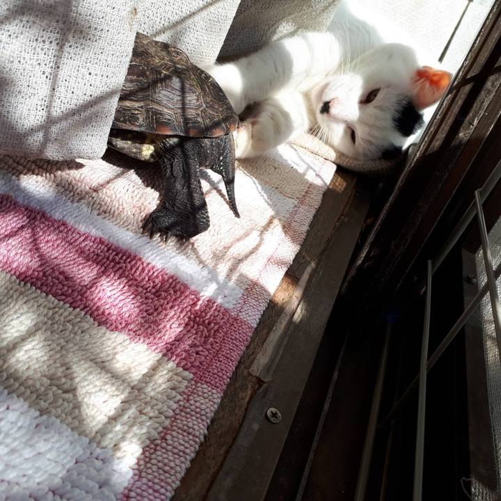 85a84b5f 9787 4345 b0e2 b654eecc0f8b 1573177229773